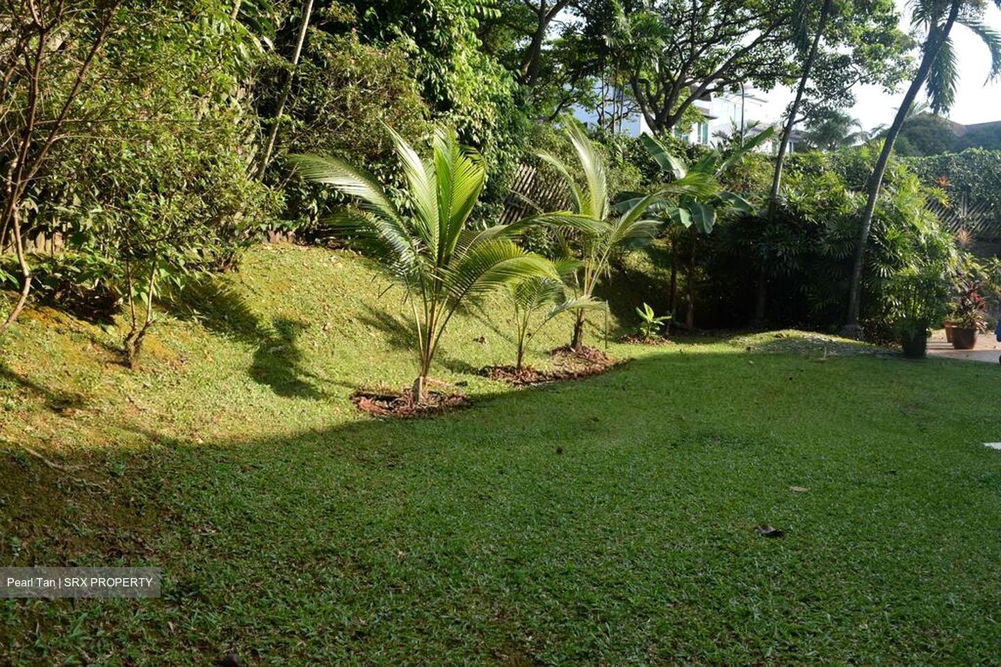 Ewart Park (D10), Detached #624512981